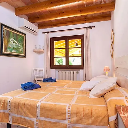 Varitx Cerda By Sealand بويينسا