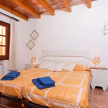 فيلة Varitx Cerda By Sealand