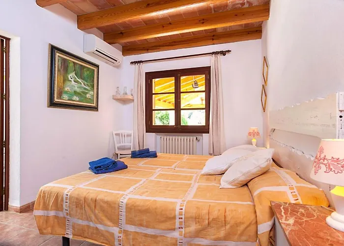 Varitx Cerda By Sealand Pollensa