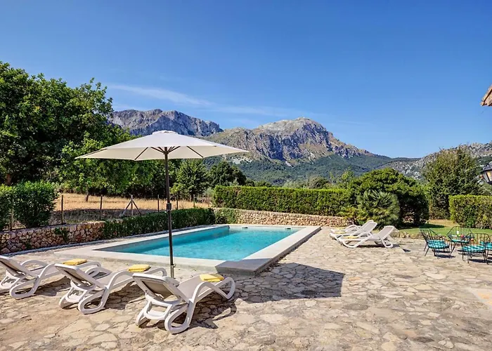 Varitx Cerda By Sealand