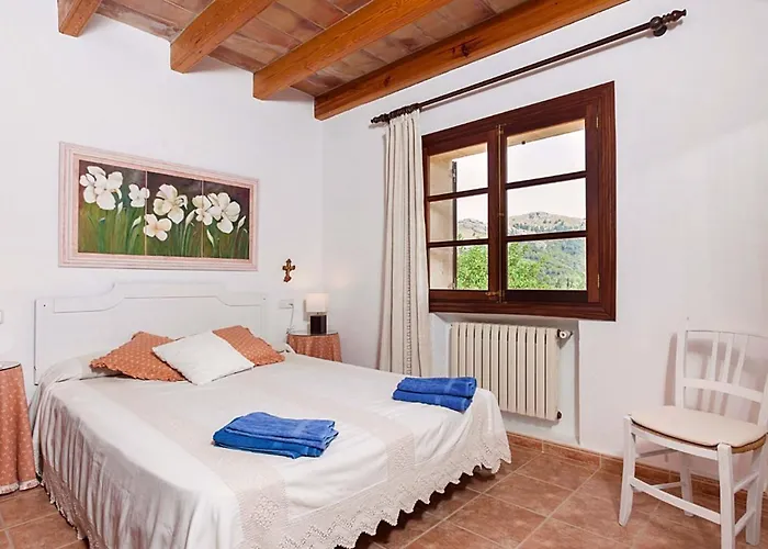 Varitx Cerda By Sealand Willa *